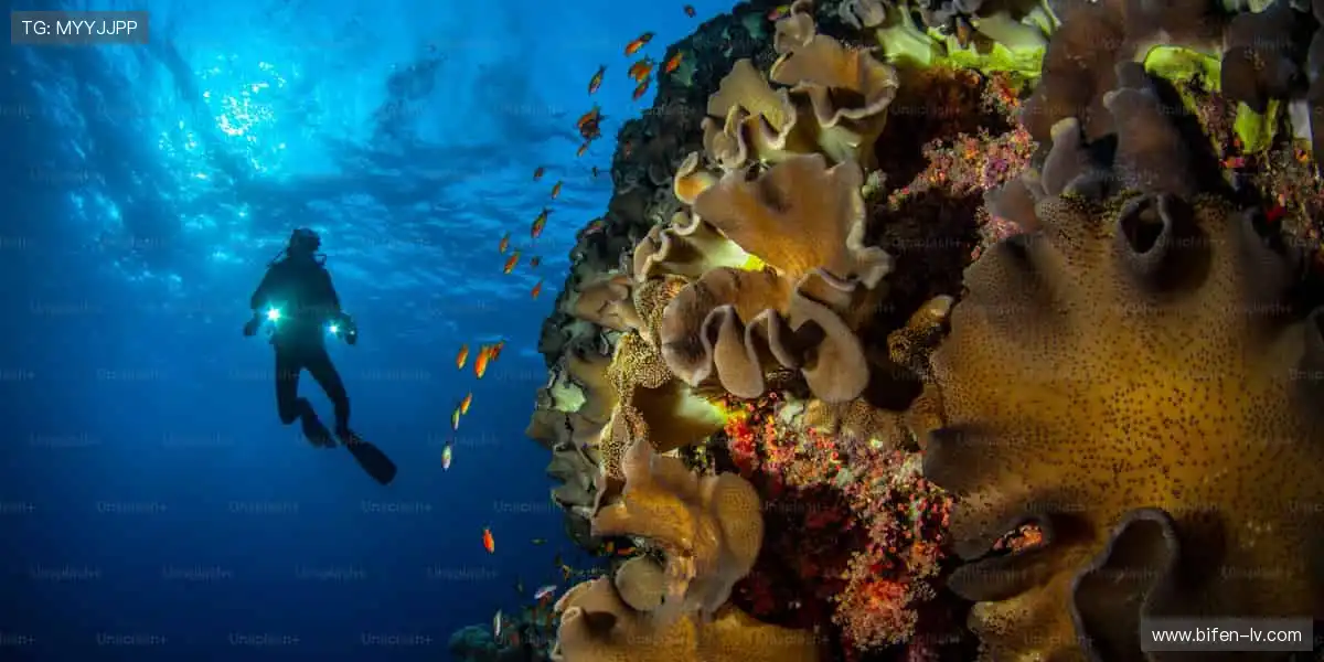 随时随地,直播你的精彩!📱✨